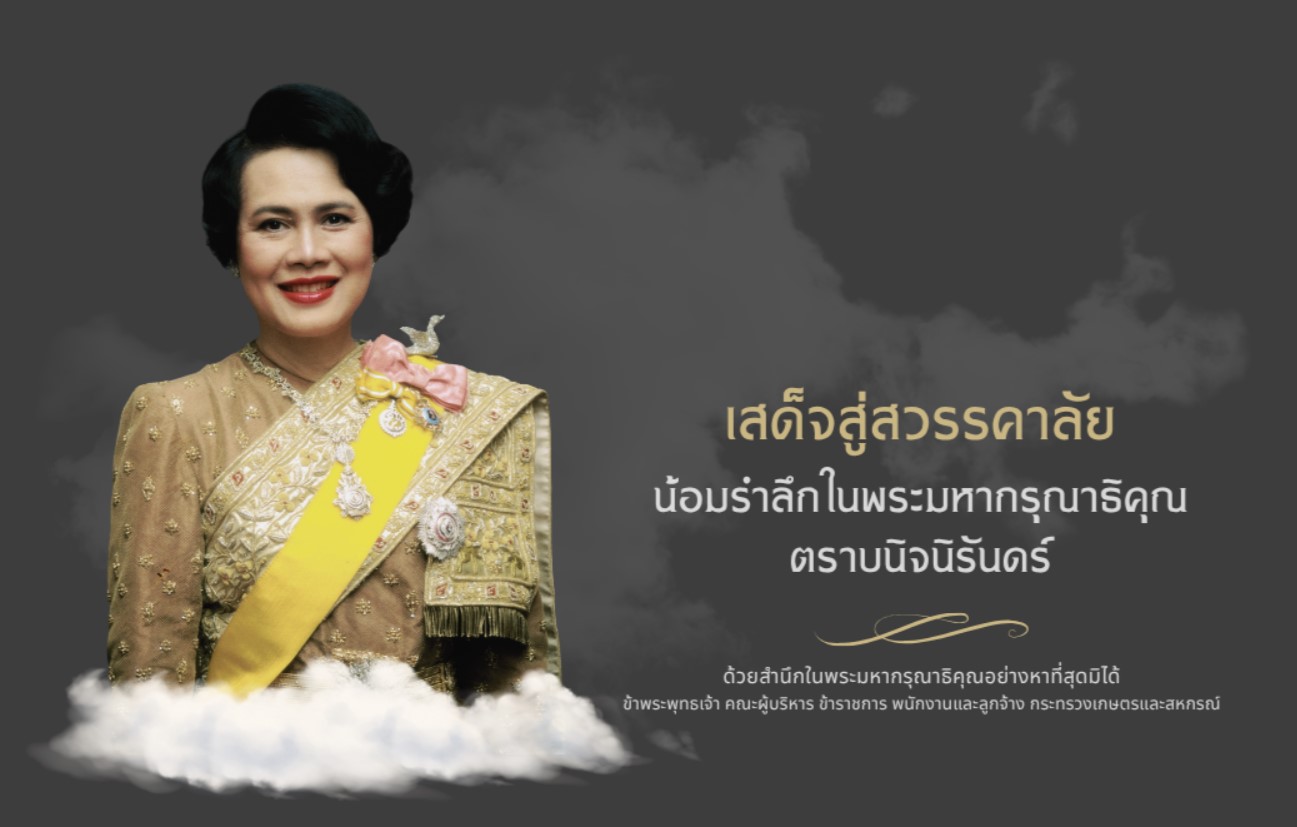 Banner Popup Phra Phanpi Hlwng