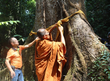 ร่วมกิจกรรมบวชป่าต้นน้ำ อนุรักษ์ทรัพยากรธรรมชาติ พารามิเตอร์รูปภาพ 4