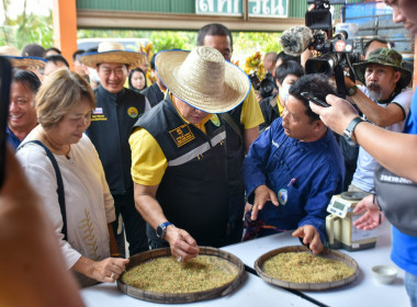 รัฐมนตรีว่าการกระทรวงเกษตรและสหกรณ์ ลงพื้นที่อำเภอสันป่าตอง พารามิเตอร์รูปภาพ 31