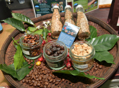 กรมส่งเสริมสหกรณ์ ผนึก JICA เปิด ... พารามิเตอร์รูปภาพ 5