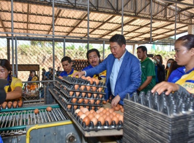 อธิบดีกรมส่งเสริมสหกรณ์ ... พารามิเตอร์รูปภาพ 6