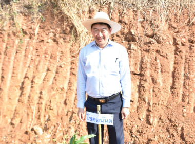 อธิบดีกรมส่งเสริมสหกรณ์ ... พารามิเตอร์รูปภาพ 12