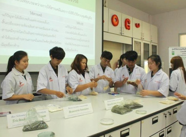 ฐานการเรียนรู้ | Microbial Pesticide พารามิเตอร์รูปภาพ 6
