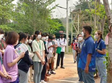 ฐานการเรียนรู้ | Sola Cell พารามิเตอร์รูปภาพ 11