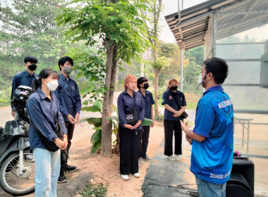 ฐานการเรียนรู้ | Sola Cell พารามิเตอร์รูปภาพ 3