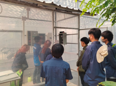ฐานการเรียนรู้ | Sola Cell พารามิเตอร์รูปภาพ 5