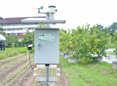 ฐานการเรียนรู้ | Iot พารามิเตอร์รูปภาพ 7