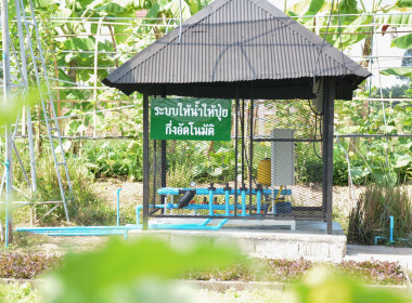 ฐานการเรียนรู้ | Iot พารามิเตอร์รูปภาพ 8
