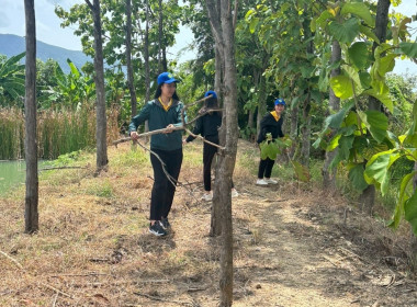 โครงการอาสาสมัครสหกรณ์ กิจกรรมพัฒนาอาสาสมัครสหกรณ์ 🧢 พารามิเตอร์รูปภาพ 41