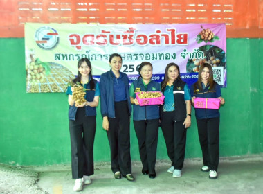 ศูนย์ฯ 9 เชียงใหม่ ผนึกกำลัง Kick off ขนลำไยคุณภาพ ... พารามิเตอร์รูปภาพ 11