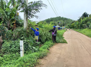 โครงการอาสาสมัครสหกรณ์ กิจกรรมพัฒนาอาสาสมัครสหกรณ์ 🧢 พารามิเตอร์รูปภาพ 14