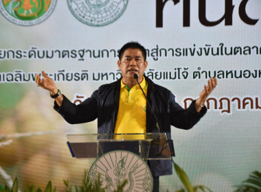 รวมพล คนลำไย ... พารามิเตอร์รูปภาพ 4