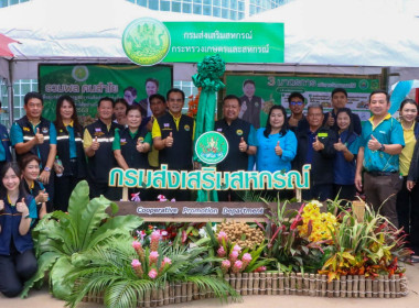 รวมพล คนลำไย ... พารามิเตอร์รูปภาพ 8