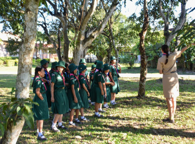 เปิดศูนย์ต้อนรับทัพ 🐯 "ลูกเสือ-เนตรนารี" ... พารามิเตอร์รูปภาพ 28