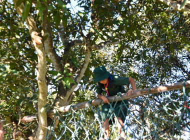 เปิดศูนย์ต้อนรับทัพ 🐯 "ลูกเสือ-เนตรนารี" ... พารามิเตอร์รูปภาพ 31