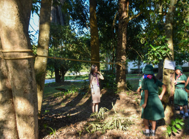 เปิดศูนย์ต้อนรับทัพ 🐯 "ลูกเสือ-เนตรนารี" ... พารามิเตอร์รูปภาพ 49
