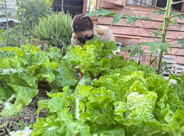 ผอ.ต้น นำทีม 🤝 ศูนย์ฯ 9 คารวะ "ท่านอัชฌา" ... พารามิเตอร์รูปภาพ 13