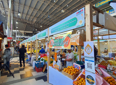 ร่วมงาน อ.ต.ก.แฟร์ 4 ภาค @ภาคเหนือ "สินค้าเกษตรทั่วไทย ... พารามิเตอร์รูปภาพ 18