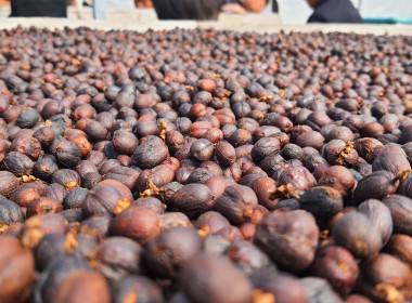 เป็นวิทยากรบรรยาย ณ สหกรณ์การเกษตรดอยสะเก็ดพัฒนา พารามิเตอร์รูปภาพ 59