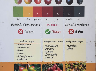 เป็นวิทยากรบรรยาย ณ สหกรณ์การเกษตรดอยสะเก็ดพัฒนา พารามิเตอร์รูปภาพ 69