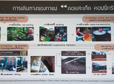 เป็นวิทยากรบรรยาย ณ สหกรณ์การเกษตรดอยสะเก็ดพัฒนา พารามิเตอร์รูปภาพ 70