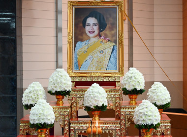 กิจกรรมจิตอาสาพระราชทาน “เราทำความดี ด้วยหัวใจ” พารามิเตอร์รูปภาพ 11