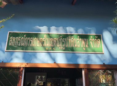 ต่อยอด "คนละครึ่ง" ลำพูน พารามิเตอร์รูปภาพ 6