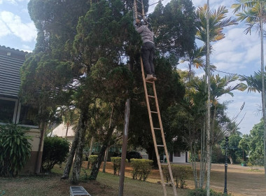 🤝ร่วมแรงร่วมใจ 5 ส. เพื่อคุณภาพและสร้างสมดุลชีวิตคนทำงาน ♻️🍃 พารามิเตอร์รูปภาพ 21