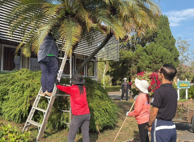 🤝ร่วมแรงร่วมใจ 5 ส. เพื่อคุณภาพและสร้างสมดุลชีวิตคนทำงาน ♻️🍃 พารามิเตอร์รูปภาพ 26