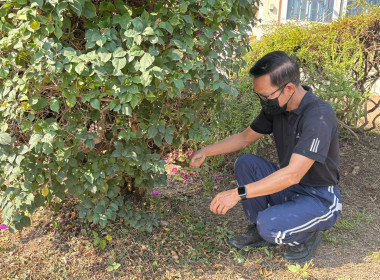🤝ร่วมแรงร่วมใจ 5 ส. เพื่อคุณภาพและสร้างสมดุลชีวิตคนทำงาน ♻️🍃 พารามิเตอร์รูปภาพ 30