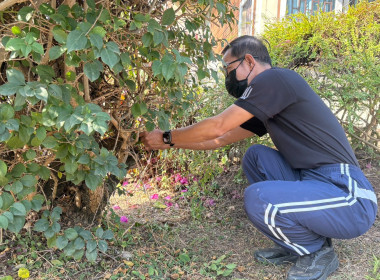 🤝ร่วมแรงร่วมใจ 5 ส. เพื่อคุณภาพและสร้างสมดุลชีวิตคนทำงาน ♻️🍃 พารามิเตอร์รูปภาพ 31