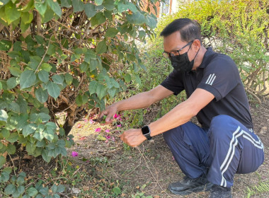 🤝ร่วมแรงร่วมใจ 5 ส. เพื่อคุณภาพและสร้างสมดุลชีวิตคนทำงาน ♻️🍃 พารามิเตอร์รูปภาพ 32