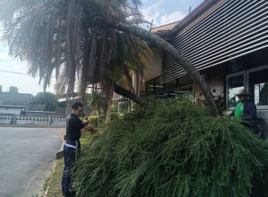 🤝ร่วมแรงร่วมใจ 5 ส. เพื่อคุณภาพและสร้างสมดุลชีวิตคนทำงาน ♻️🍃 พารามิเตอร์รูปภาพ 36