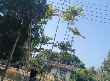 🤝ร่วมแรงร่วมใจ 5 ส. เพื่อคุณภาพและสร้างสมดุลชีวิตคนทำงาน ♻️🍃 พารามิเตอร์รูปภาพ 44