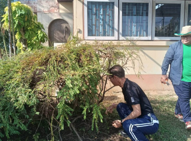 🤝ร่วมแรงร่วมใจ 5 ส. เพื่อคุณภาพและสร้างสมดุลชีวิตคนทำงาน ♻️🍃 พารามิเตอร์รูปภาพ 5