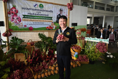 อสส ปล่อยคาราวาน กระจายหอมแดงศรีสะเกษสู่เหนือ 🧅🚚 พารามิเตอร์รูปภาพ 1