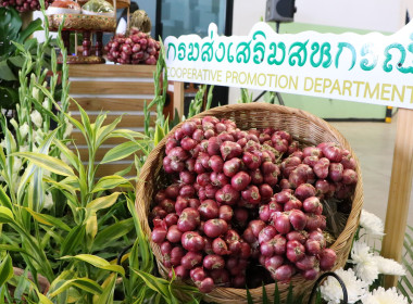 อสส ปล่อยคาราวาน กระจายหอมแดงศรีสะเกษสู่เหนือ 🧅🚚 พารามิเตอร์รูปภาพ 40