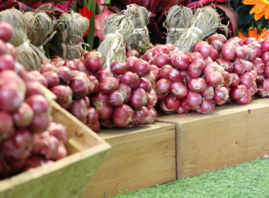 อสส ปล่อยคาราวาน กระจายหอมแดงศรีสะเกษสู่เหนือ 🧅🚚 พารามิเตอร์รูปภาพ 42