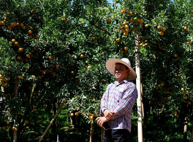 คณะผู้บริหารฯ ลงพื้นที่เยี่ยมกลุ่มเกษตรกรทำไร่โป่งน้ำร้อน พารามิเตอร์รูปภาพ 24