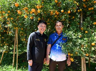 คณะผู้บริหารฯ ลงพื้นที่เยี่ยมกลุ่มเกษตรกรทำไร่โป่งน้ำร้อน พารามิเตอร์รูปภาพ 26