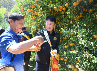 คณะผู้บริหารฯ ลงพื้นที่เยี่ยมกลุ่มเกษตรกรทำไร่โป่งน้ำร้อน พารามิเตอร์รูปภาพ 29