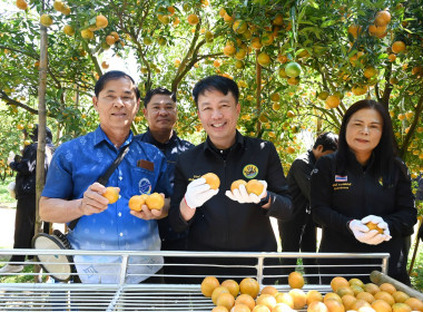 คณะผู้บริหารฯ ลงพื้นที่เยี่ยมกลุ่มเกษตรกรทำไร่โป่งน้ำร้อน พารามิเตอร์รูปภาพ 3