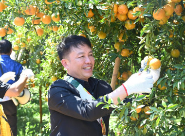 คณะผู้บริหารฯ ลงพื้นที่เยี่ยมกลุ่มเกษตรกรทำไร่โป่งน้ำร้อน พารามิเตอร์รูปภาพ 30