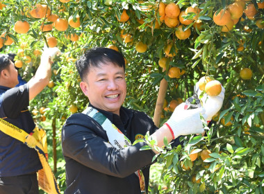 คณะผู้บริหารฯ ลงพื้นที่เยี่ยมกลุ่มเกษตรกรทำไร่โป่งน้ำร้อน พารามิเตอร์รูปภาพ 31