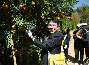 คณะผู้บริหารฯ ลงพื้นที่เยี่ยมกลุ่มเกษตรกรทำไร่โป่งน้ำร้อน พารามิเตอร์รูปภาพ 33