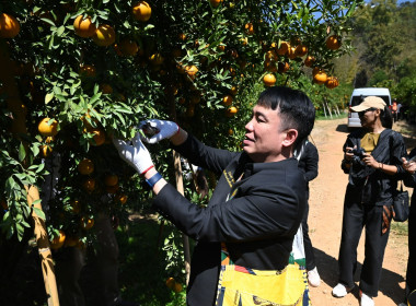 คณะผู้บริหารฯ ลงพื้นที่เยี่ยมกลุ่มเกษตรกรทำไร่โป่งน้ำร้อน พารามิเตอร์รูปภาพ 34