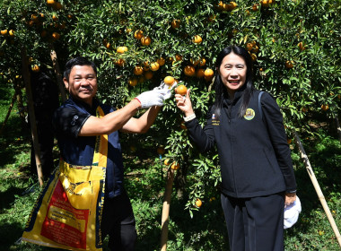 คณะผู้บริหารฯ ลงพื้นที่เยี่ยมกลุ่มเกษตรกรทำไร่โป่งน้ำร้อน พารามิเตอร์รูปภาพ 36