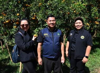 คณะผู้บริหารฯ ลงพื้นที่เยี่ยมกลุ่มเกษตรกรทำไร่โป่งน้ำร้อน พารามิเตอร์รูปภาพ 37