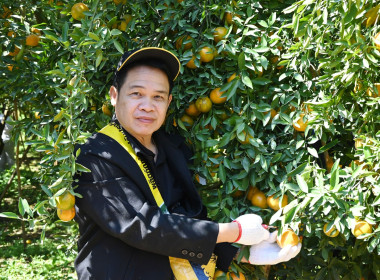 คณะผู้บริหารฯ ลงพื้นที่เยี่ยมกลุ่มเกษตรกรทำไร่โป่งน้ำร้อน พารามิเตอร์รูปภาพ 38