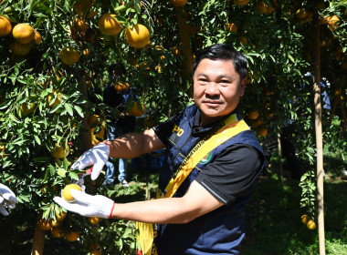 คณะผู้บริหารฯ ลงพื้นที่เยี่ยมกลุ่มเกษตรกรทำไร่โป่งน้ำร้อน พารามิเตอร์รูปภาพ 4